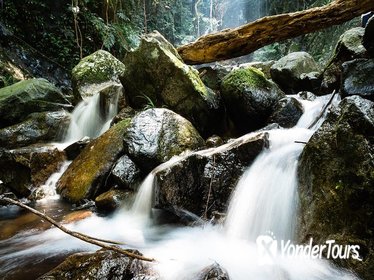 Tai Mo Shan Waterfall Adventure Hike Tai Mo Shan Waterfall Adventure Hike
