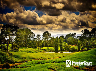 Tauranga Shore Excursion: Lord of the Rings Hobbiton Movie Set Tour Including Rotorua Sightseeing