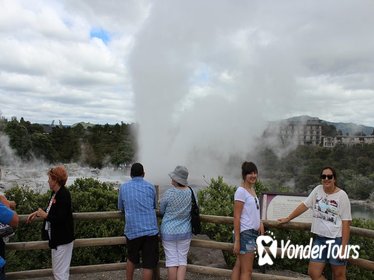 Tauranga Shore Excursion: Maori Culture, Kiwis, and Geo-Thermal Valleys in Tauranga