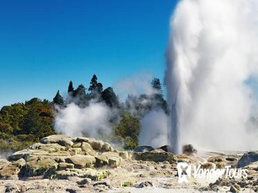 Tauranga Shore Excursion: Rotorua Highlights