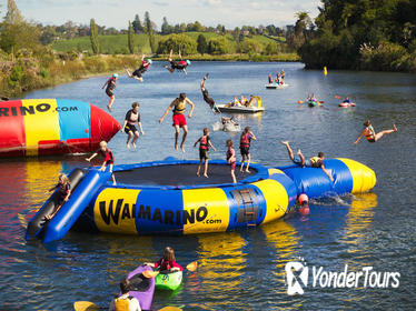 Tauranga Shore Excursion: Waimarino Adventure Park