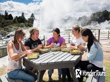 Te Puia Maori Cultural Tour and Steambox Lunch