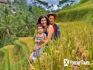 Tegalalang Rice Terrace and Bamboo Forest Trekking Tegalalang Rice Terrace and Bamboo Forest Trekking