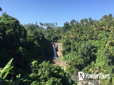 Tegenungan Waterfalls Hiking Tour