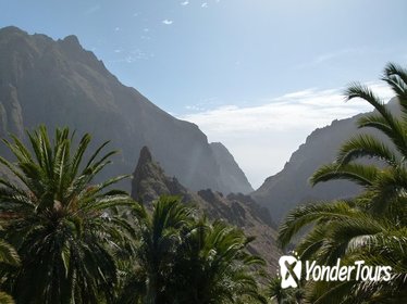 Tenerife Highlights Full-Day Tour