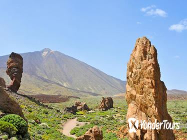 Tenerife Shore Excursion: Private Teide National Park Day Trip