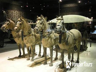 Terracotta Warriors and City Wall Private Day Tour Terracotta Warriors and City Wall Private Day Tour