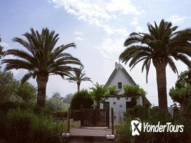The Albufera Natural Park Private Tour from Valencia with transport The Albufera Natural Park Private Tour from Valencia with transport
