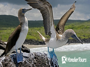 The Best of Galapagos Adventure in 7 Days