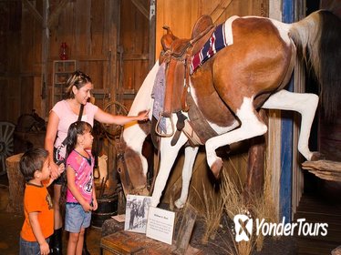 The Buckhorn Saloon & Museum and Texas Ranger Museum