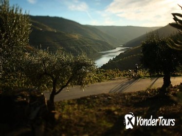 THE CHARMING DOURO BIKING TOUR