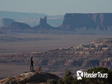 The Coyote - A Southwest Mighty Five 8-Day Adventure With Your DOG!!