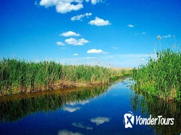 The Delta nearby Bucharest seen by boat