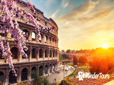 The Official Colosseum & Ancient Rome Small Group Tour