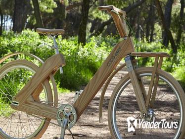 The Wooden Bicycle Tour in Stockholm