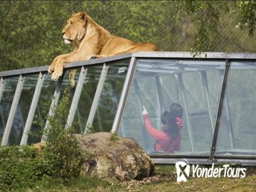 Thoiry Zoo Safari Skip the Line Ticket Thoiry Zoo Safari Skip the Line Ticket