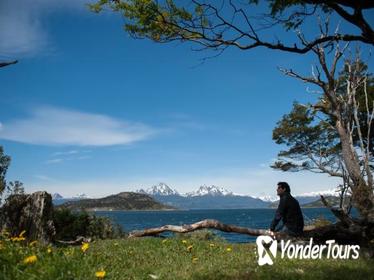 Tierra del Fuego National Park Private Half-Day Trip