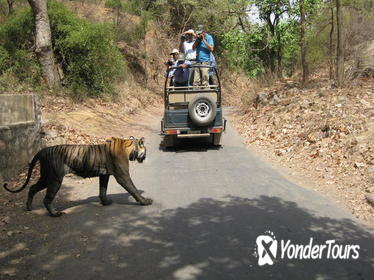 TIGER TOUR WITH GOLDEN TRIANGLE - HOTEL & CAR INCLUSIVE PRIVATE