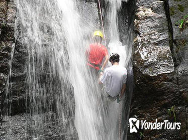 Tijuca National Park Hike and Waterfall Rappelling