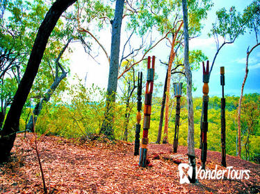 Tiwi Islands Cultural Experience from Darwin Including Flights Tiwi Islands Cultural Experience from Darwin Including Flights