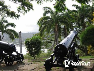 Tobago Buccoo Reef Glass Bottom Boat Cruise and Island Sightseeing Tour