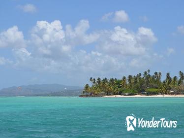 Tobago Buccoo Reef Glass Bottom Boat Tour