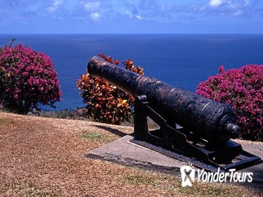 Tobago Island Sightseeing and Plantation Tour