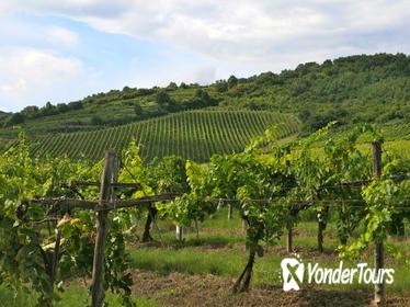 Tokaj Wine Country Day Trip from Budapest