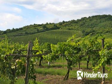 Tokaj Wine Country Day Trip from Budapest Tokaj Wine Country Day Trip from Budapest