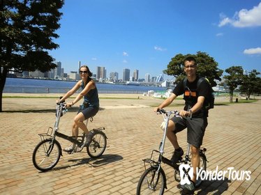 Tokyo by Bike: Tsukiji Market and Odaiba Including Tokyo Bay Cruise