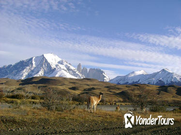 Torres del Paine Day Trip from Puerto Natales