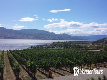 Tour and Taste Okanagan's Wine Country