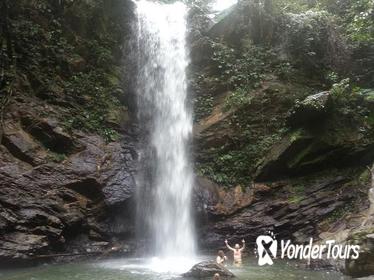 Trinidad Rainforest Hike to Waterfall