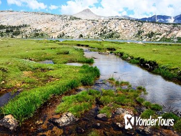 Tuolumne Meadows Tour