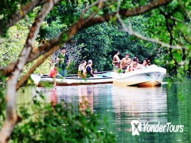 Turtle and Crocodile Eco Tour from Huatulco with Mangrove Boat Ride