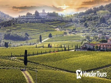 Tuscan Experience - Private Shore Excursion to Chianti and Siena from Livorno