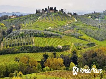Tuscany Highlights Day Trip to Pisa, San Gimignano, Siena, Chianti and Winery