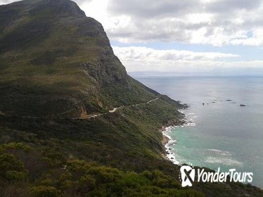 Twelve Apostles to Sandy Bay Hike in Cape Town