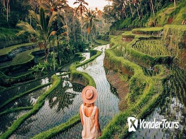 Ubud Day Trip with Private & Friendly Driver