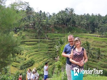 Ubud Full Day Tour including lunch