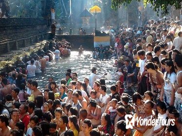 UBUD Harmony