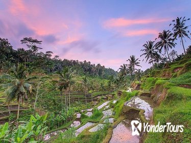 Ubud Rice Terraces Temples and Volcano