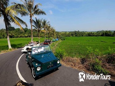 Ubud VW Safari Bali Tour
