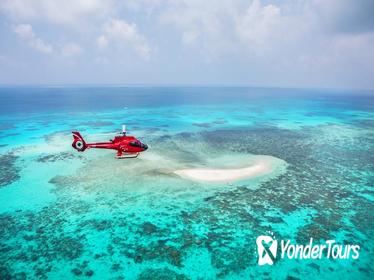 Ultimate Great Barrier Reef and Rainforest 45-minute Helicopter Tour