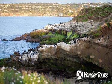 Ultimate Private San Diego Sightseeing Tour