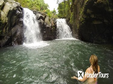 Ulun Danu Temple and Kembar Waterfall Tour in Bali