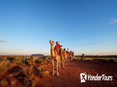 Uluru Camel Express, Sunrise, or Sunset Tours