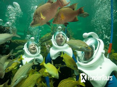 Underwater Helmet-Diving Experience at the Miami Seaquarium