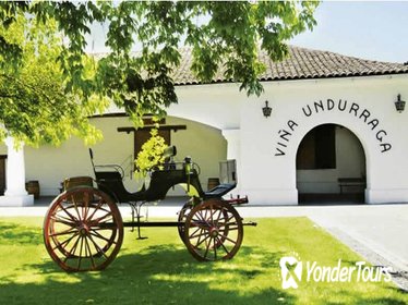 Undurraga Wine Experience