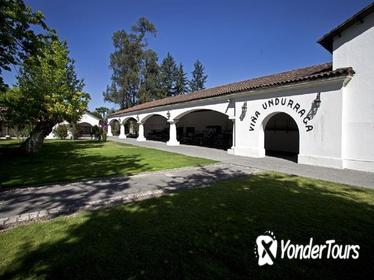Undurraga Wine Tasting Tour from Santiago